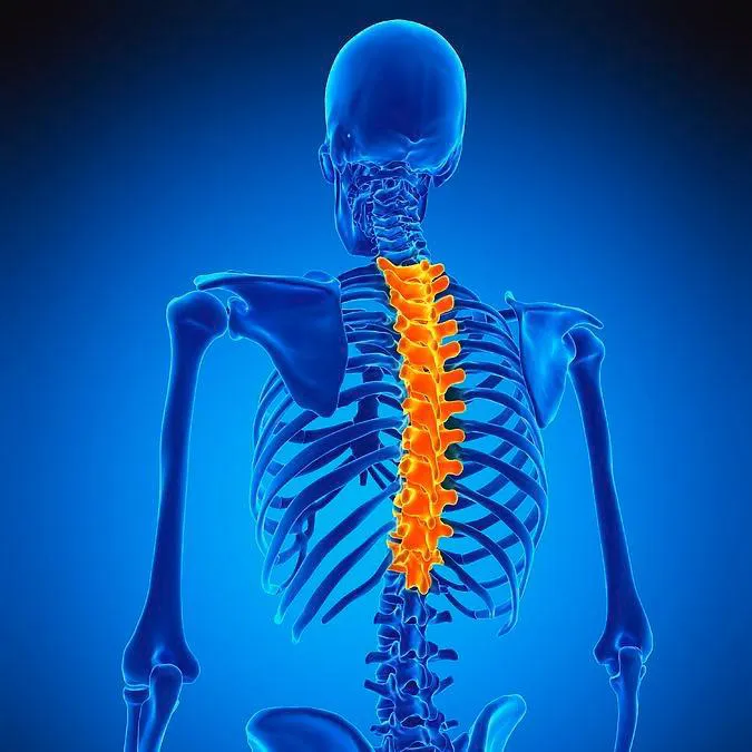 BodyPro Wellness Center - Dr. Tony Ganem, DC Picture 8