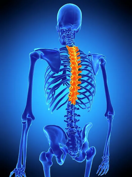 BodyPro Wellness Center - Dr. Tony Ganem, DC Picture 9