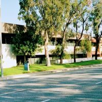 Amicay Kinesiology ico