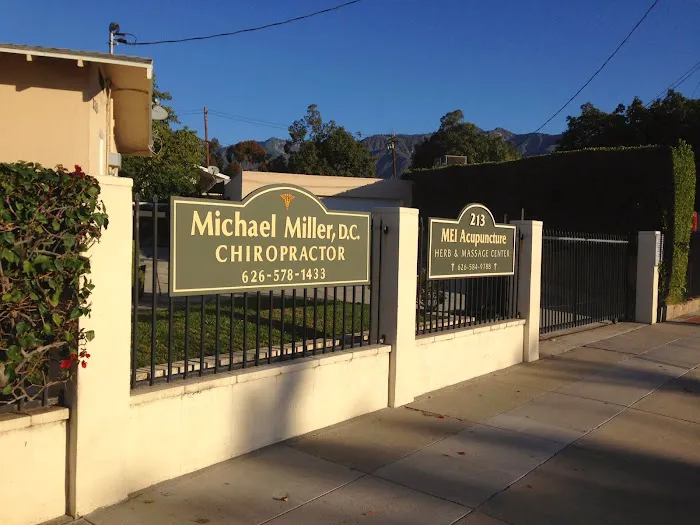 Michael Miller DC Picture 1