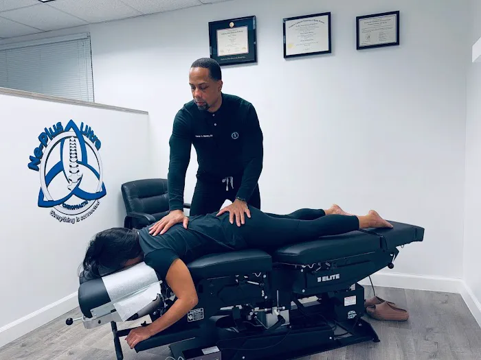 Ne Plus Ultra Chiropractic Picture 7