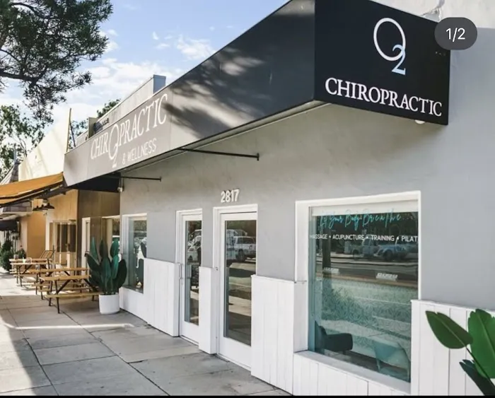 O2 Chiropractic and Wellness Dana Laridaen DC Picture 1