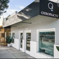 O2 Chiropractic and Wellness Dana Laridaen DC ico