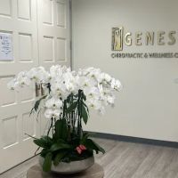 Genesis Chiropractic & Wellness Center ico