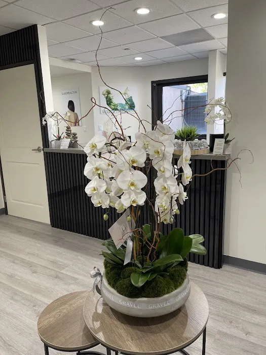 Genesis Chiropractic & Wellness Center Picture 5