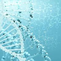OC Regenerative Therapy ico