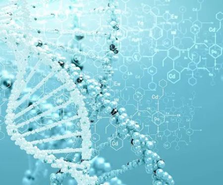 OC Regenerative Therapy