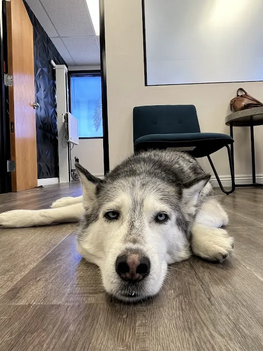 CorePosture Chiropractic Picture 4