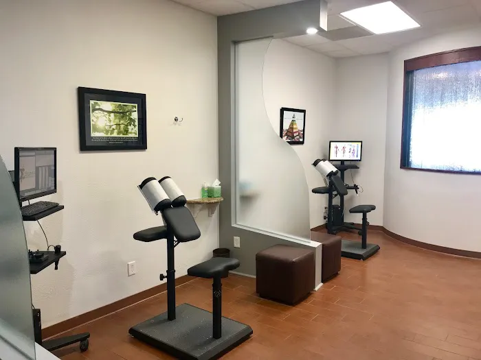 Divine Spine Picture 1