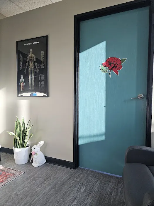 Chiroevolution | Diana L Lawson DC Picture 10