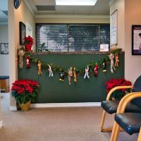 Dr. Gary Martin Irvine Chiropractor ico