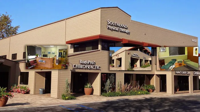 BodyPro! Chiropractic Picture 3