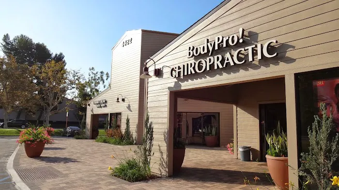 BodyPro! Chiropractic Picture 7
