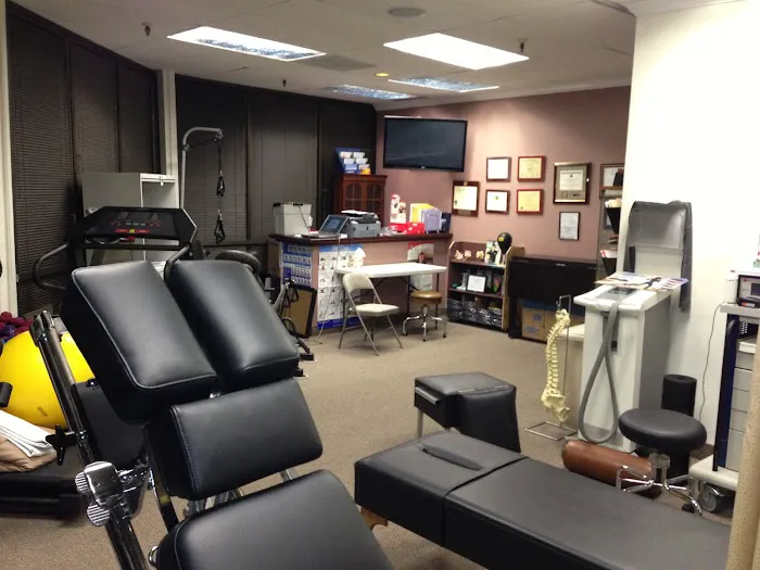 Dr. Mike Snyder, D.C. - Gonstead Chiropractor & Laser Therapy Picture 1