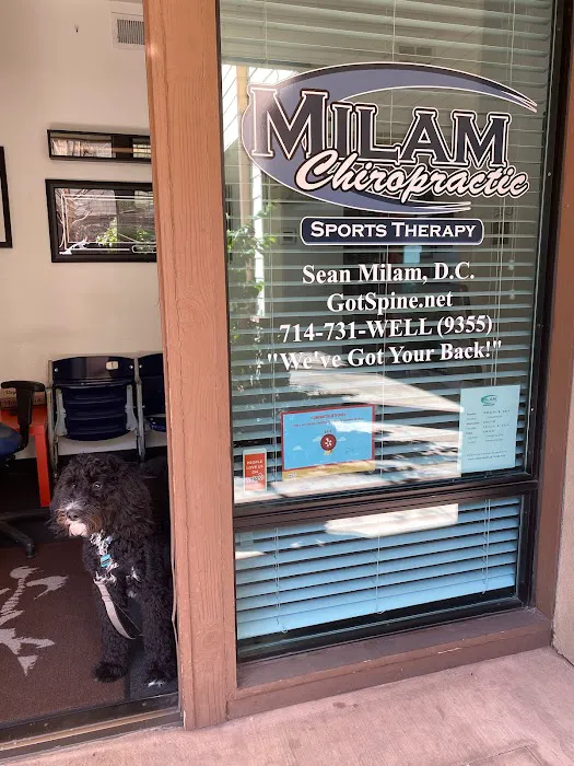 Milam Chiropractic and Sports Therapy Picture 9