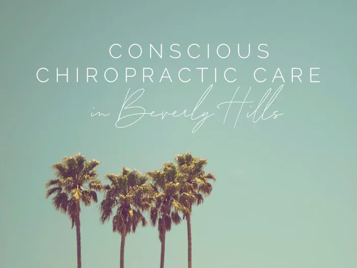 Spinewise Chiropractic Picture 1