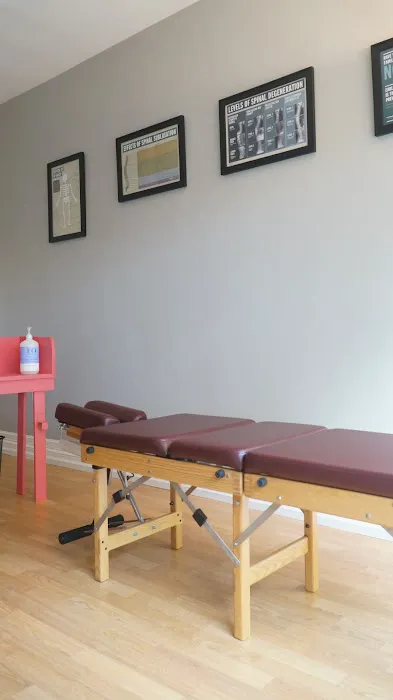 The Chiropractic Movement Picture 4
