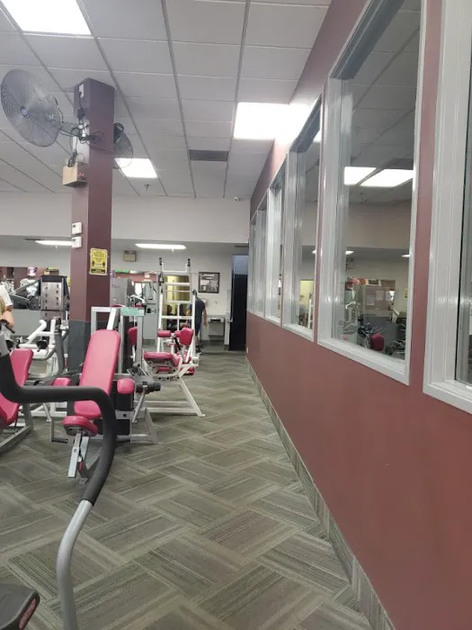 Sports Therapy & Wellness Center, Dr. Eric R. Bergstrom, Chiropractor Picture 6