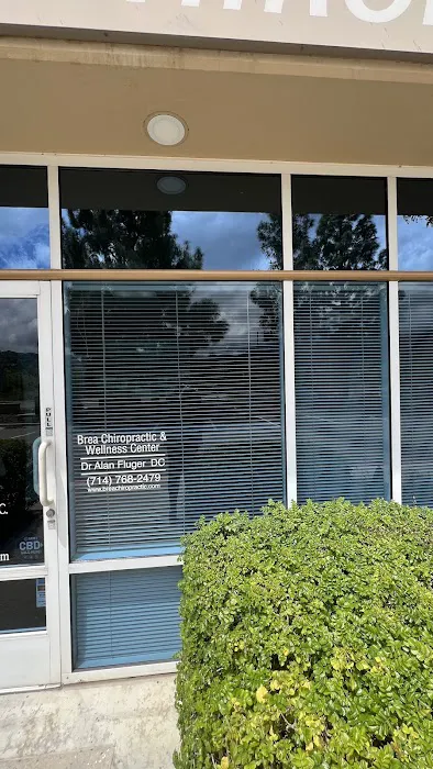 Brea Chiropractic Picture 4