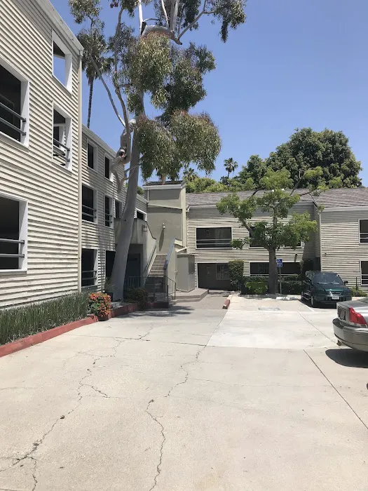 Forte Wellness Picture 6