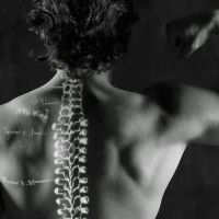 Yaghjian Chiropractic ico