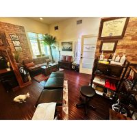 Pacific Vibes Chiropractic ico