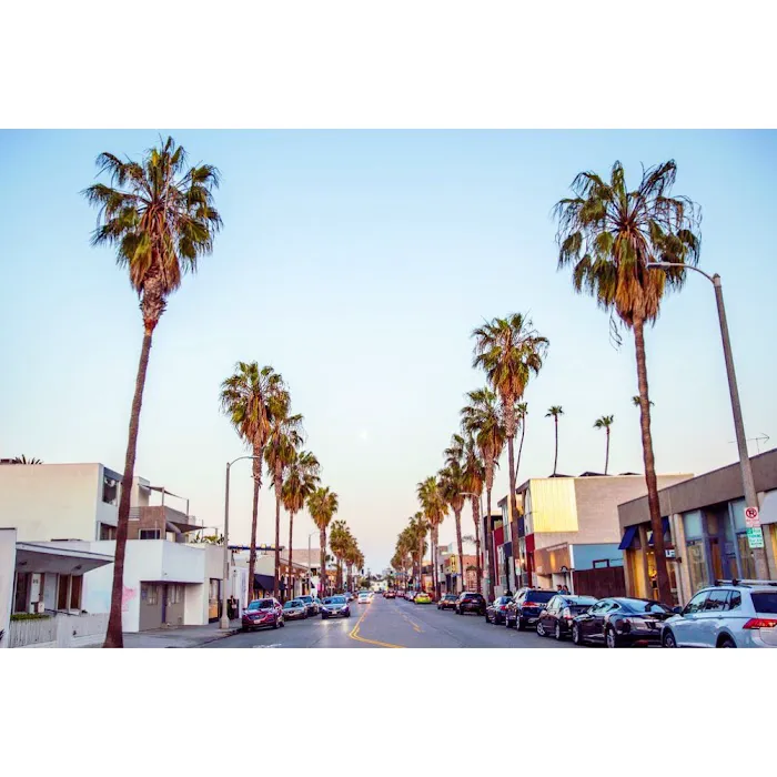 Pacific Vibes Chiropractic Picture 6