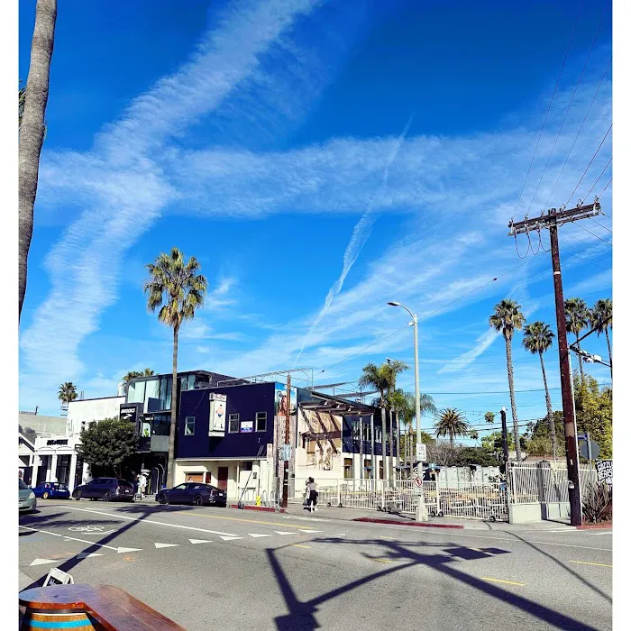 Pacific Vibes Chiropractic Picture 5