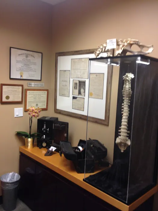Olympic Chiropractic Picture 1