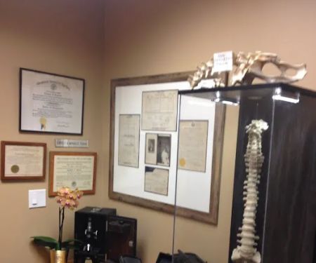 Olympic Chiropractic