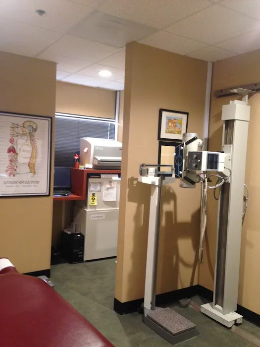 Olympic Chiropractic Picture 2