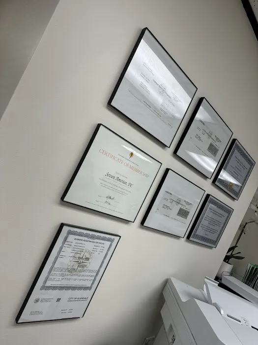 Amirian Chiropractic Picture 1