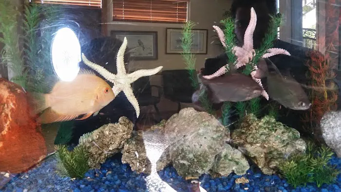 Poole Chiropractic Picture 3