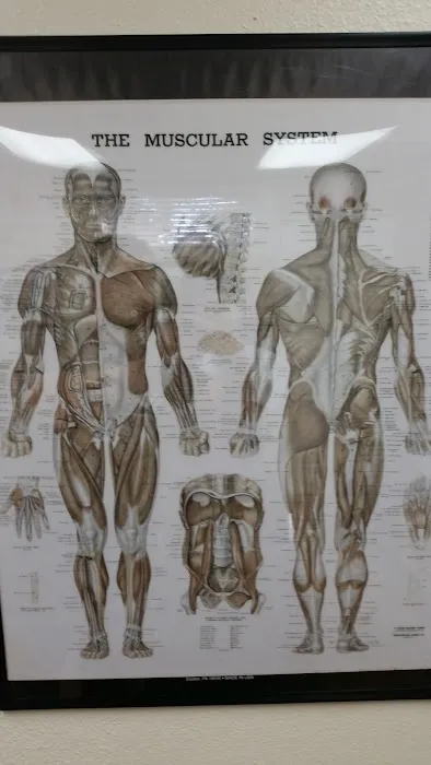 Poole Chiropractic Picture 8