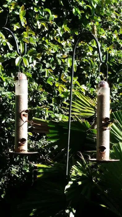 Poole Chiropractic Picture 7