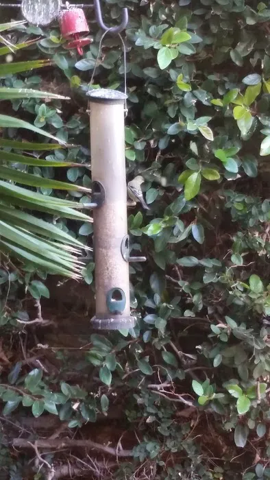 Poole Chiropractic Picture 6