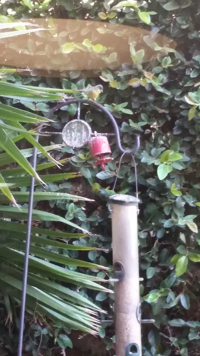 Poole Chiropractic Picture 10