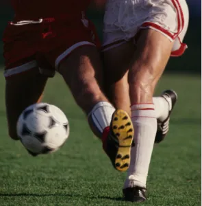 Elite Sports Medicine Orange Picture 8
