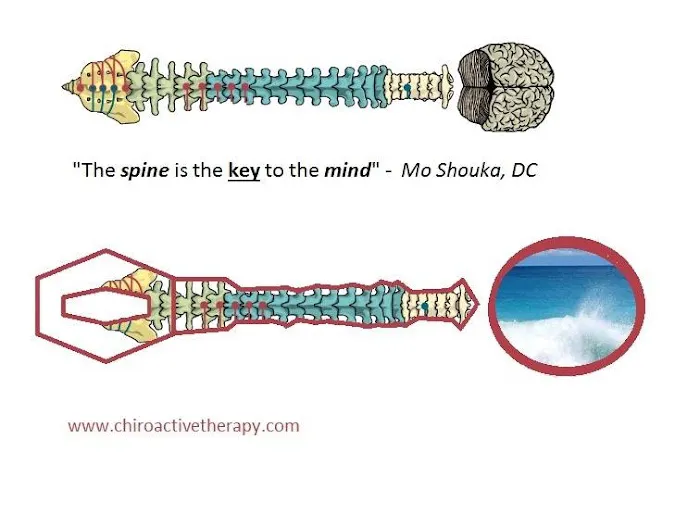 ChiroActive Therapy - Tustin Chiropractor Mo Shouka, DC, QME Picture 7