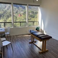 Stauber Method Chiropractic ico