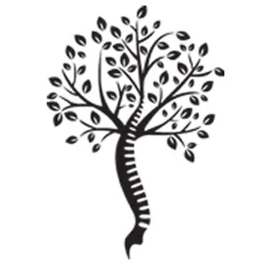 Whole Health Chiropractic Picture 7
