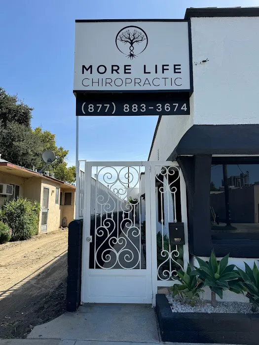 More Life Chiropractic Picture 2