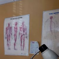 Advanced Chiropractic Wellness Center ico