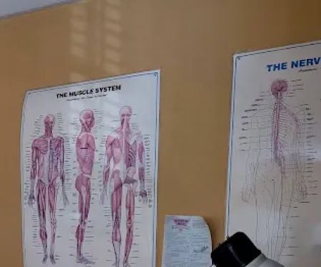 Advanced Chiropractic Wellness Center