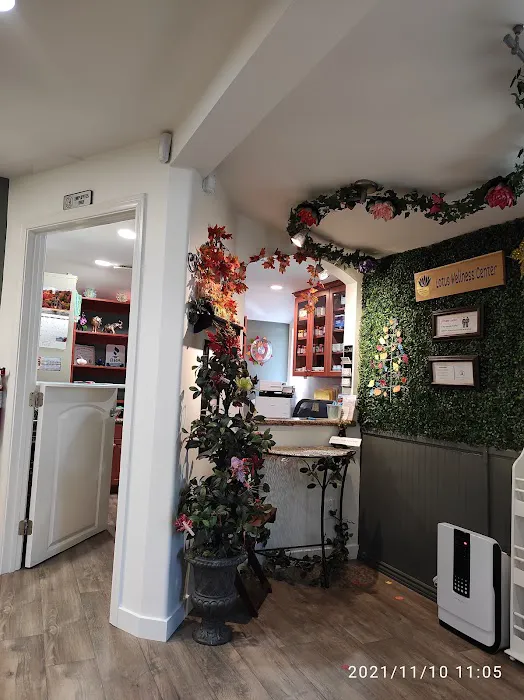 Lotus Wellness Center - Integrative Medicine Picture 1