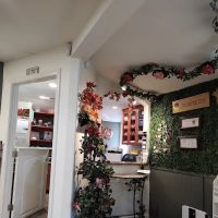 Lotus Wellness Center - Integrative Medicine ico