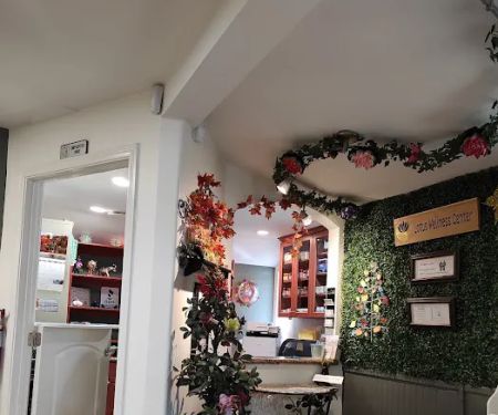 Lotus Wellness Center - Integrative Medicine