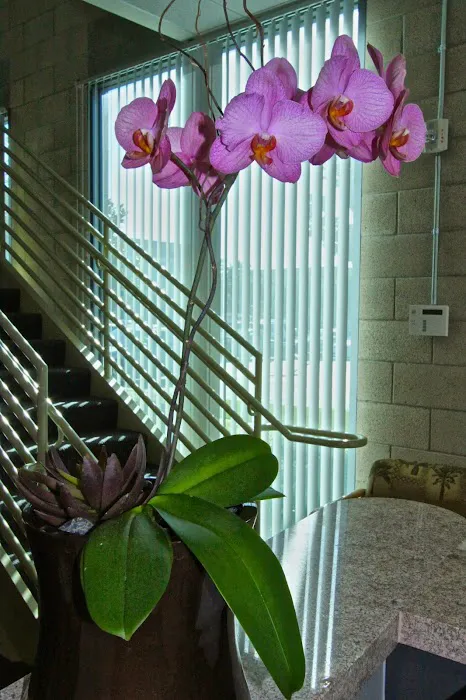 Timothy R. Twombly, D.C. - Orange County Chiropractor Picture 7