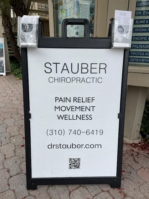 Dr. Karen Palkovits-Stauber Picture 4