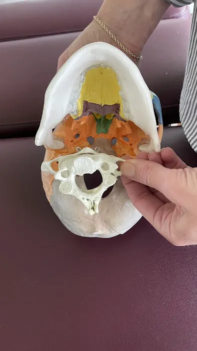Dr. Karen Palkovits-Stauber Picture 10